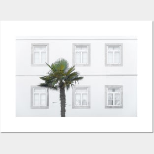 Palm Tree and Windows Posters and Art